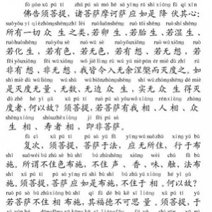「金刚经(全文注音版).pdf」